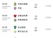 开云体育网页版-上海申花实力抢分，力争晋级强的简单介绍