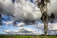 开云体育链接-勒沃库森主场告捷稳守领先位置——德国足球新篇章的精彩演绎