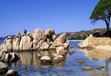 开云体育链接-罗马取得平局，主教练展望未来发展