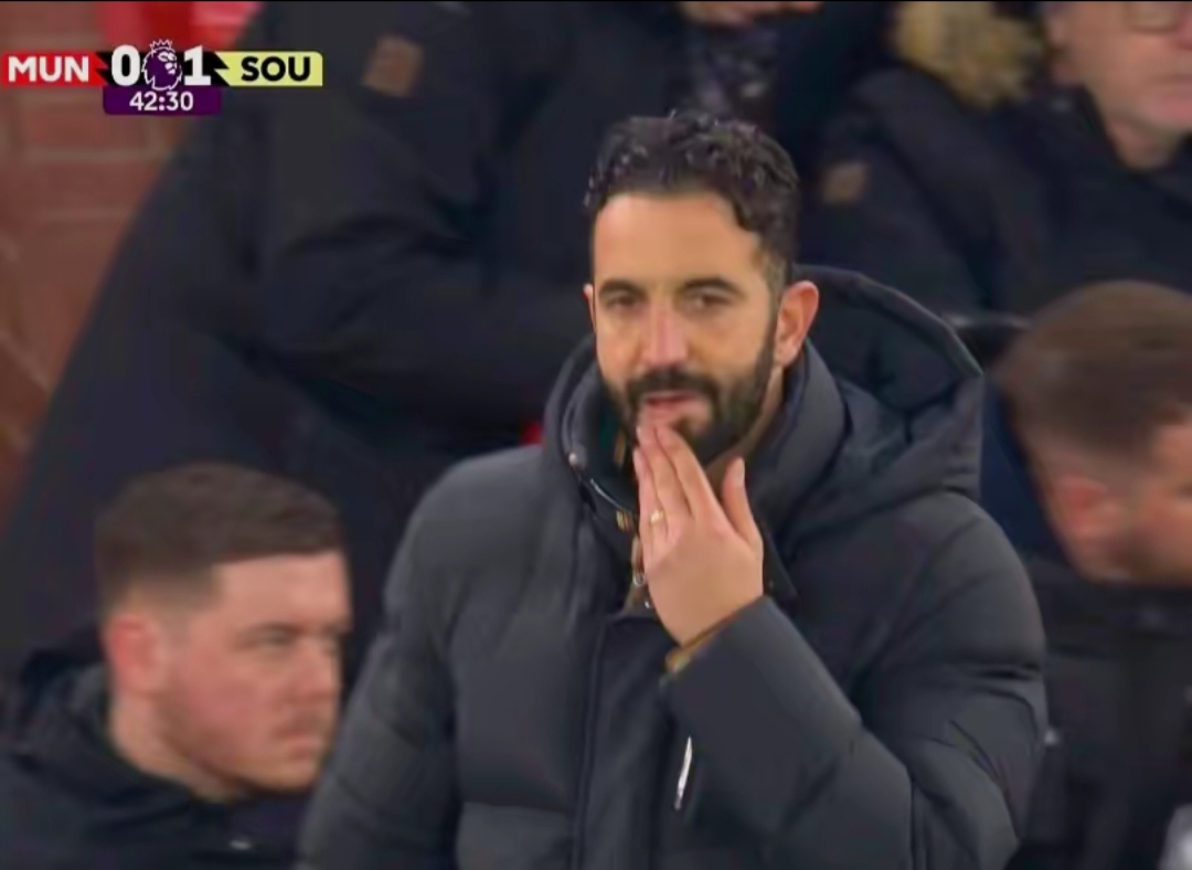 关于南安普顿客场进球惊艳，力克对手继续积分榜上升的信息